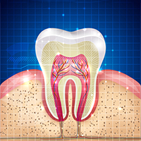 service root canals
